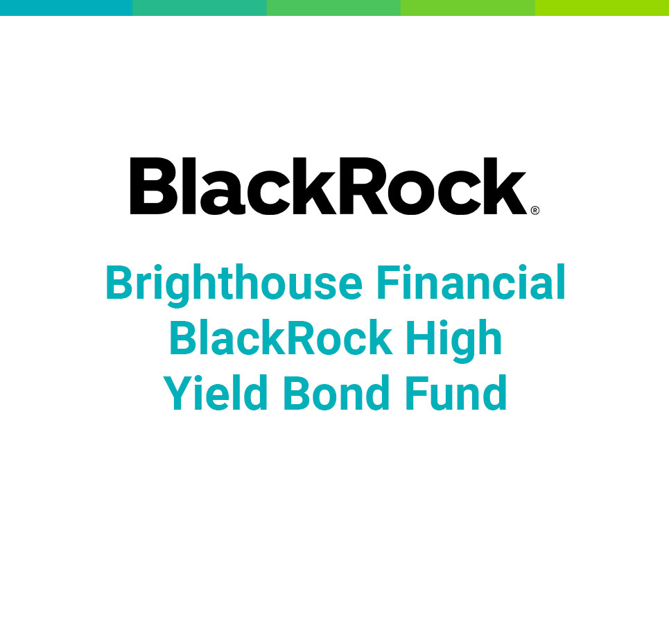 Our Story Brighthouse Financial